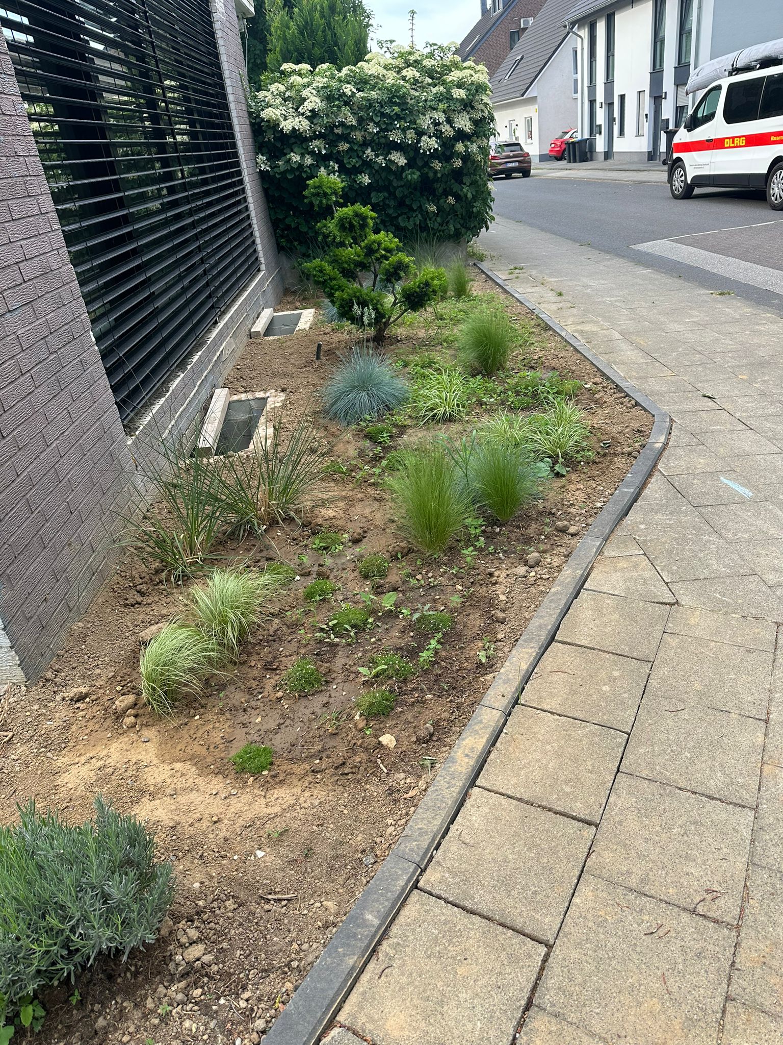 Planzen Service